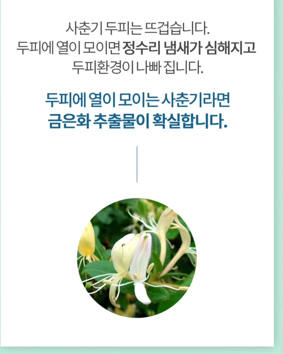 소이빈 에스닉상하복 13