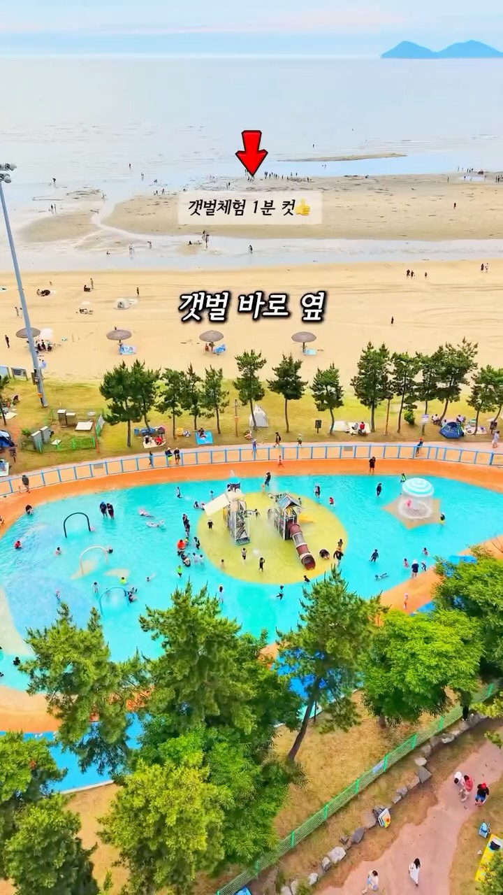 뒷밴딩핀턱와이드슬랙스
