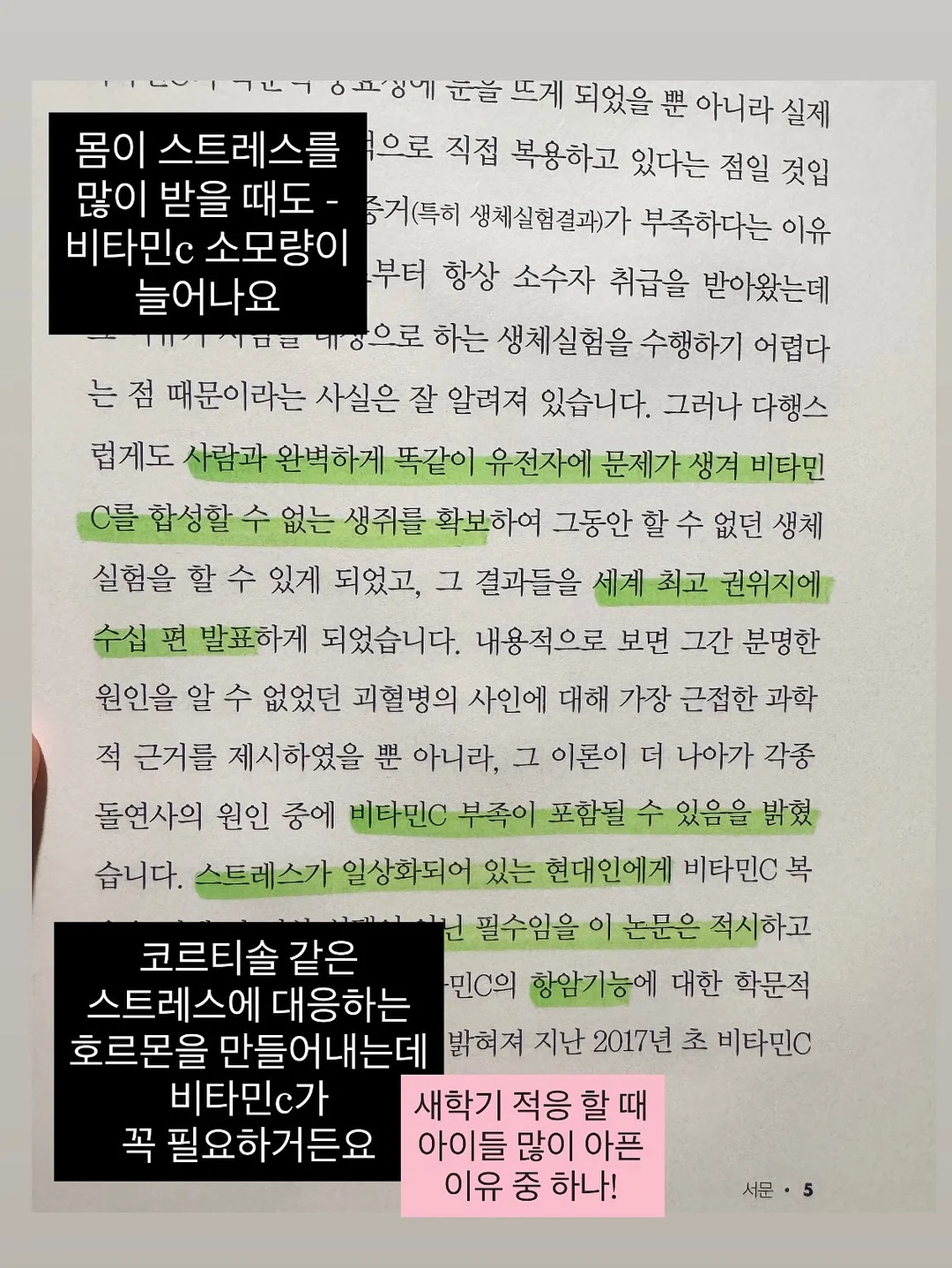 Kosta Boda 빈티지 글라스 14
