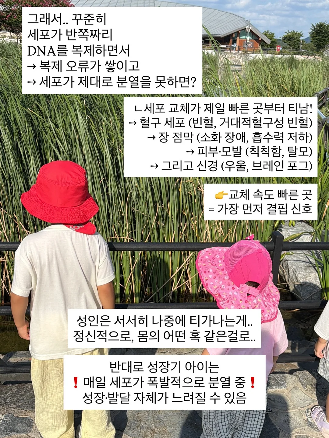 Kosta Boda 빈티지 글라스 5