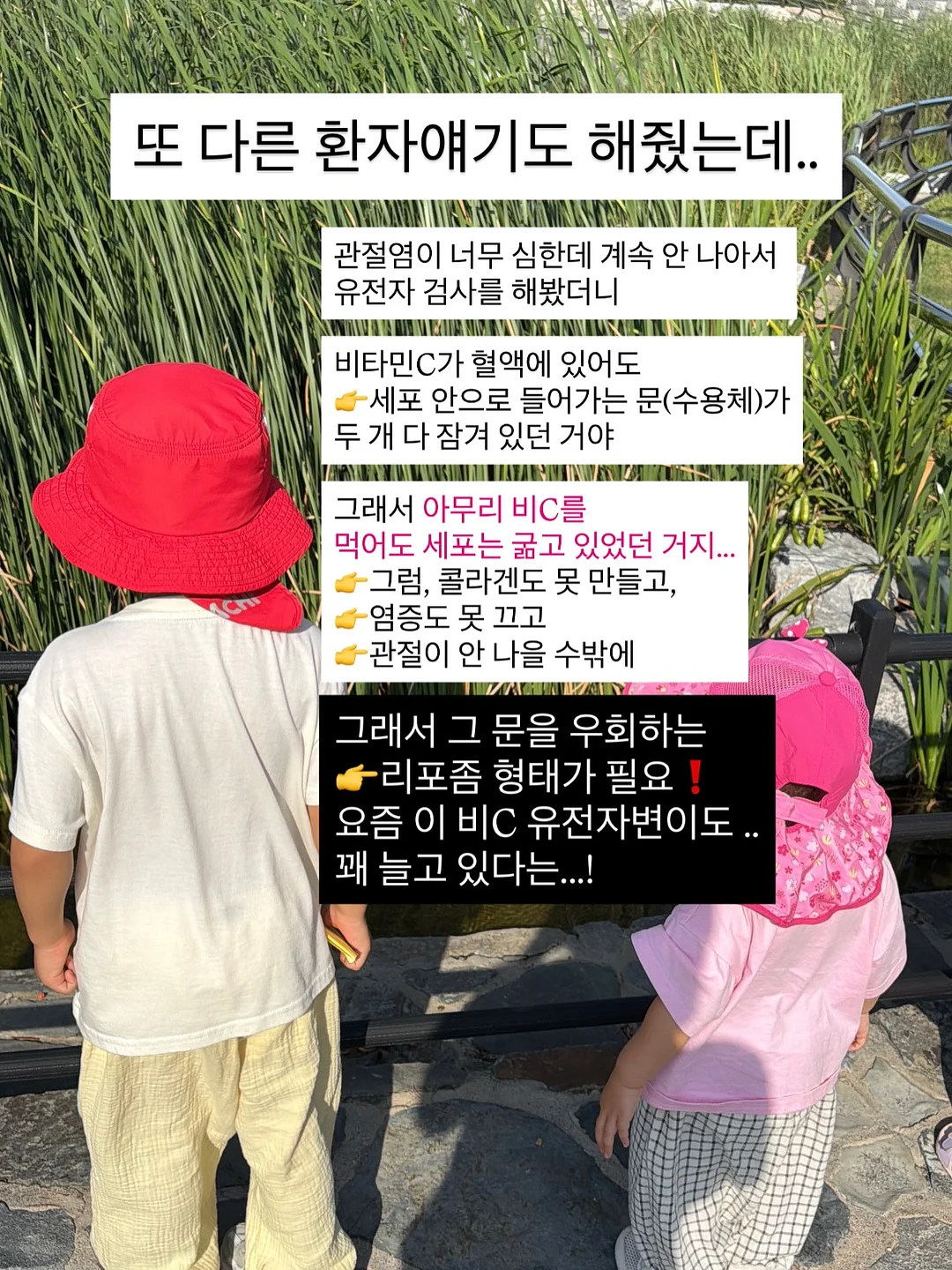 Kosta Boda 빈티지 글라스 6