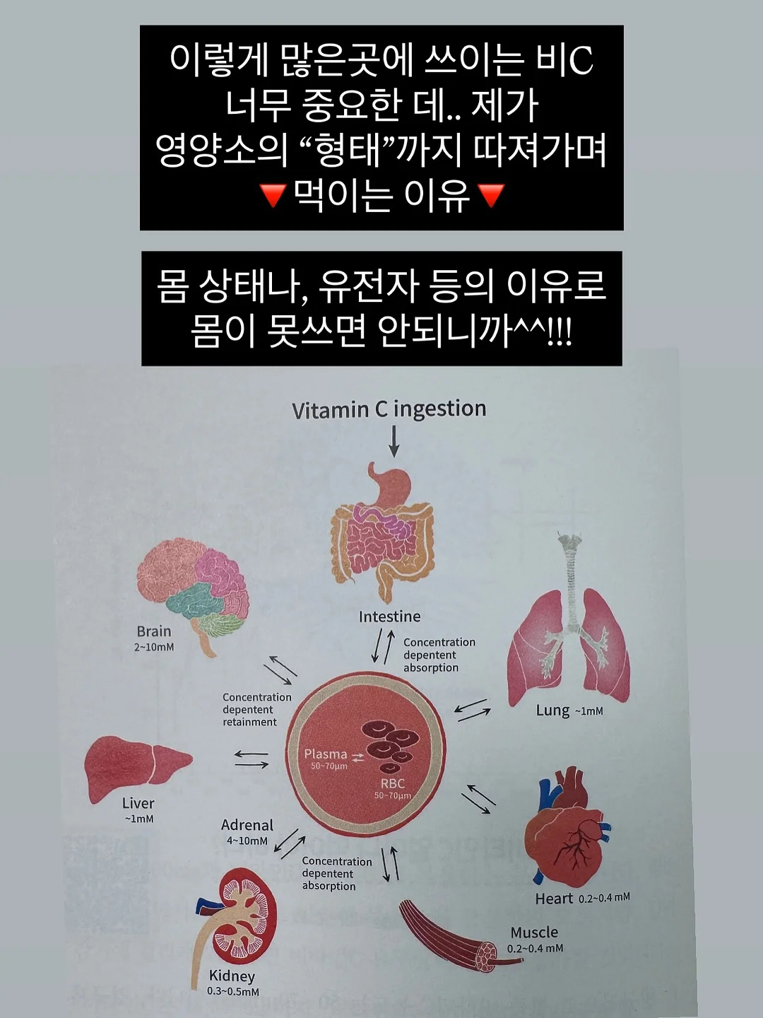 Kosta Boda 빈티지 글라스 8