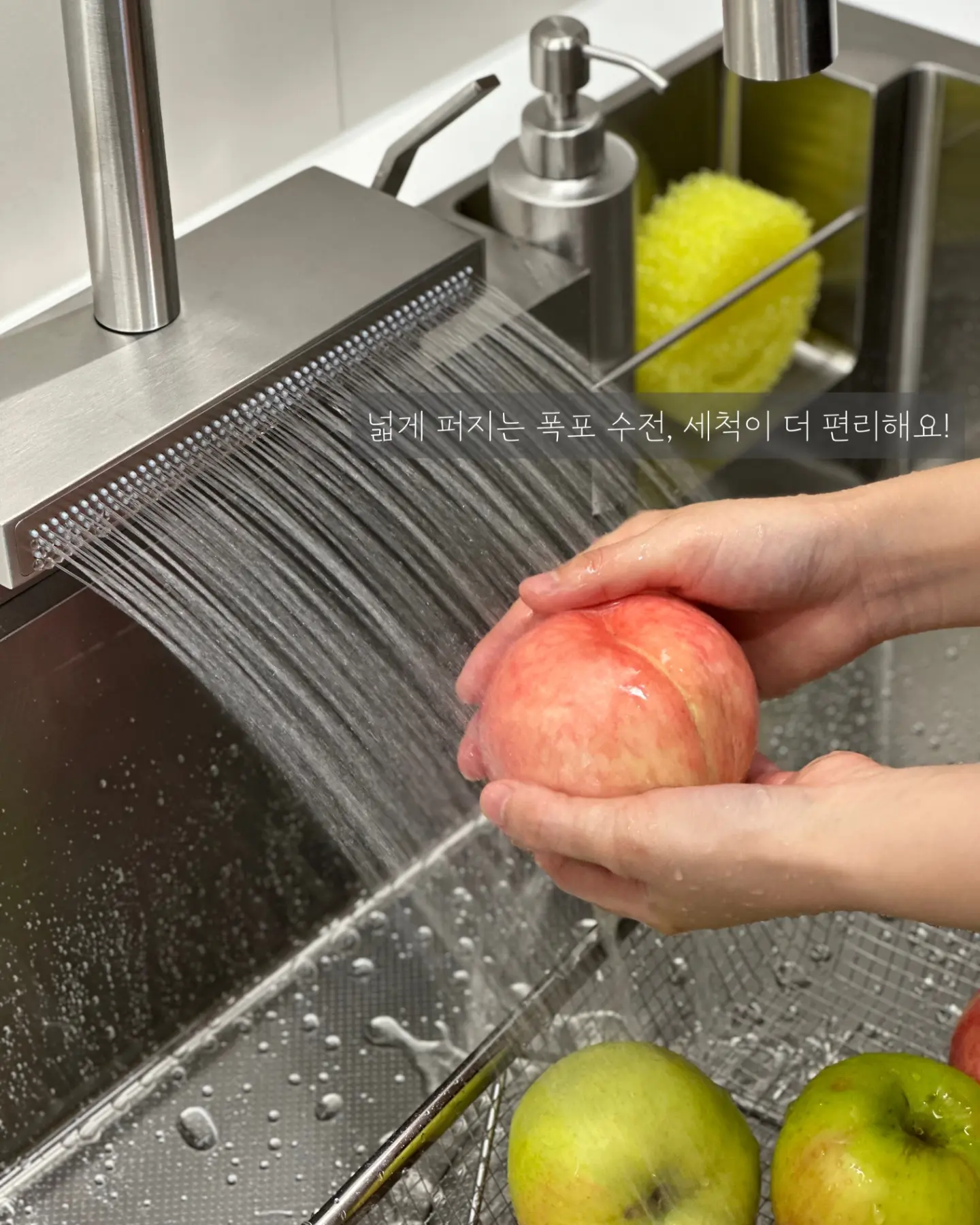 프로틴 큐브스콘 3