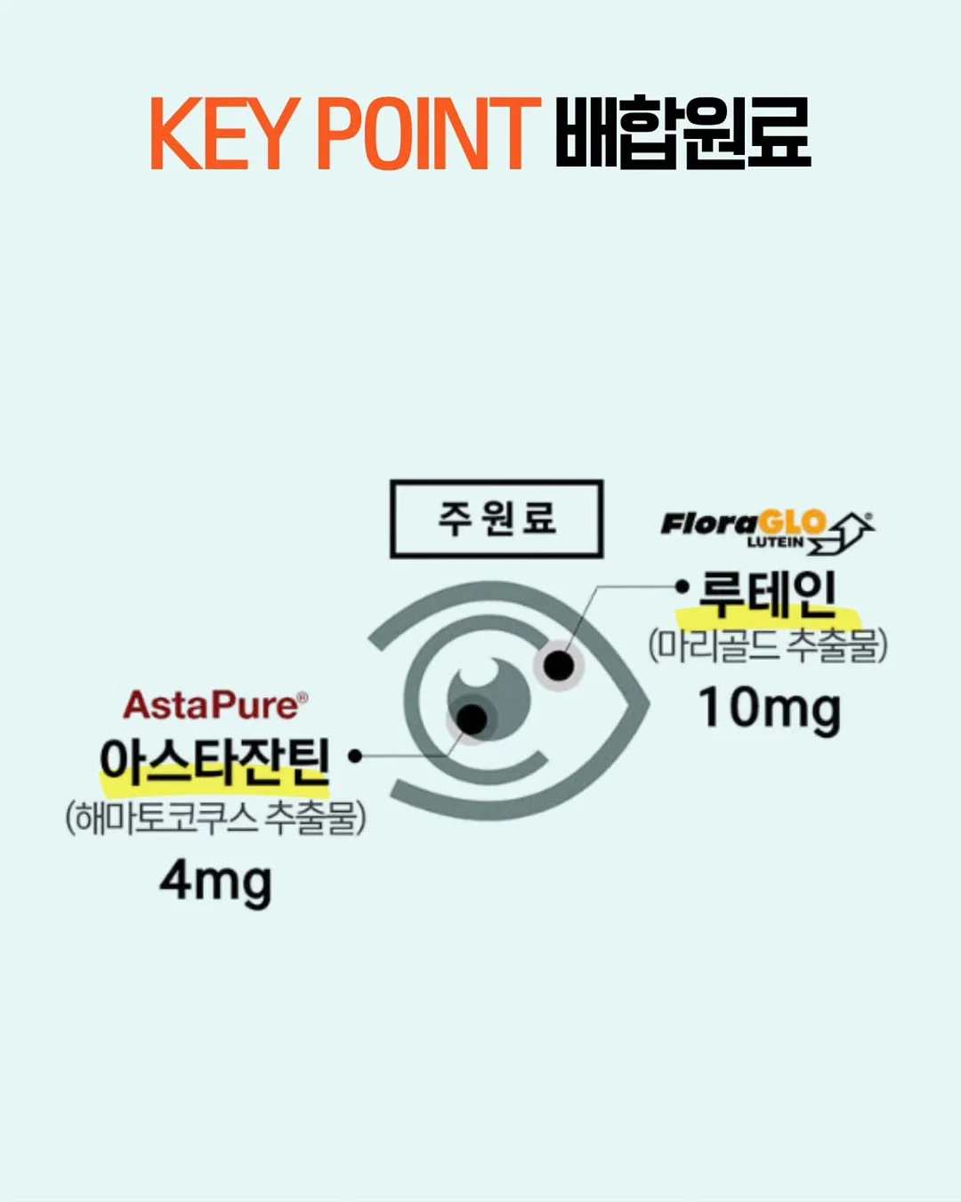 팔케 셀룰라이트 컨트롤 팬티 5