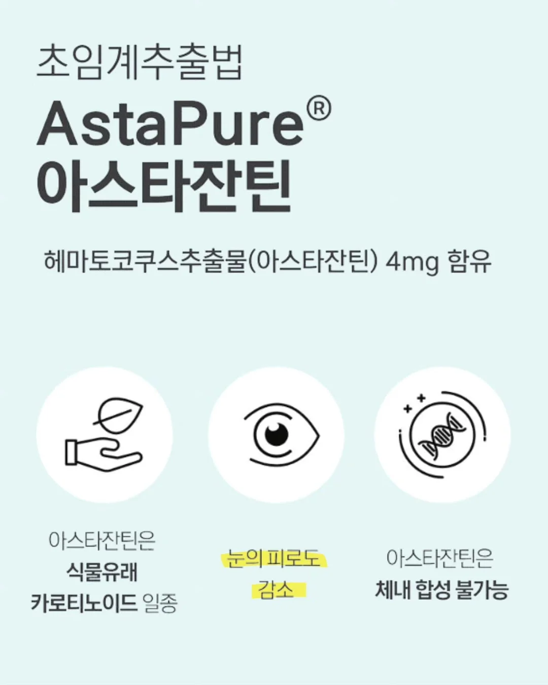 팔케 셀룰라이트 컨트롤 팬티 7