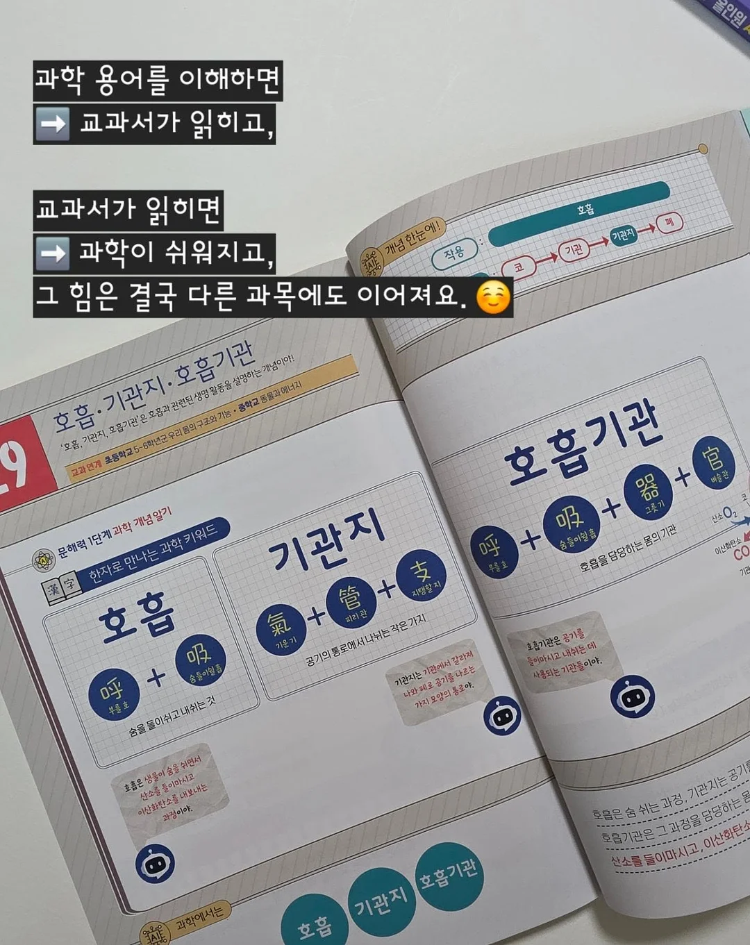 정수리보호캡모자 12
