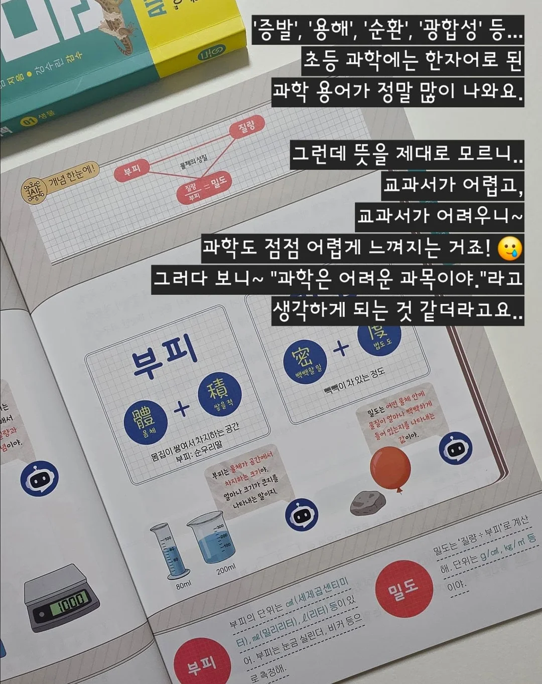 정수리보호캡모자 2