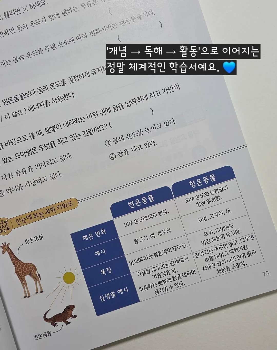 정수리보호캡모자 8