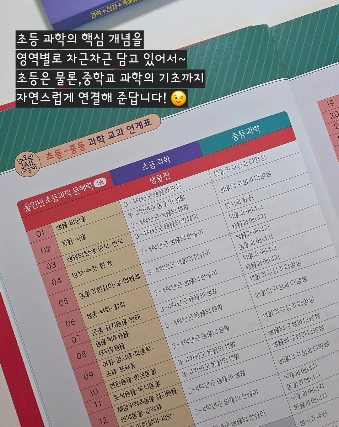 정수리보호캡모자 9
