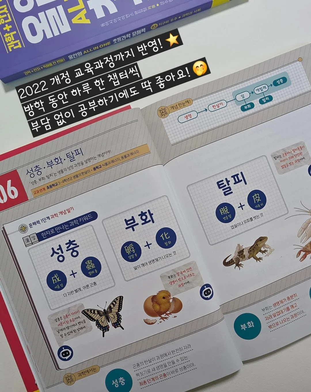 정수리보호캡모자 10