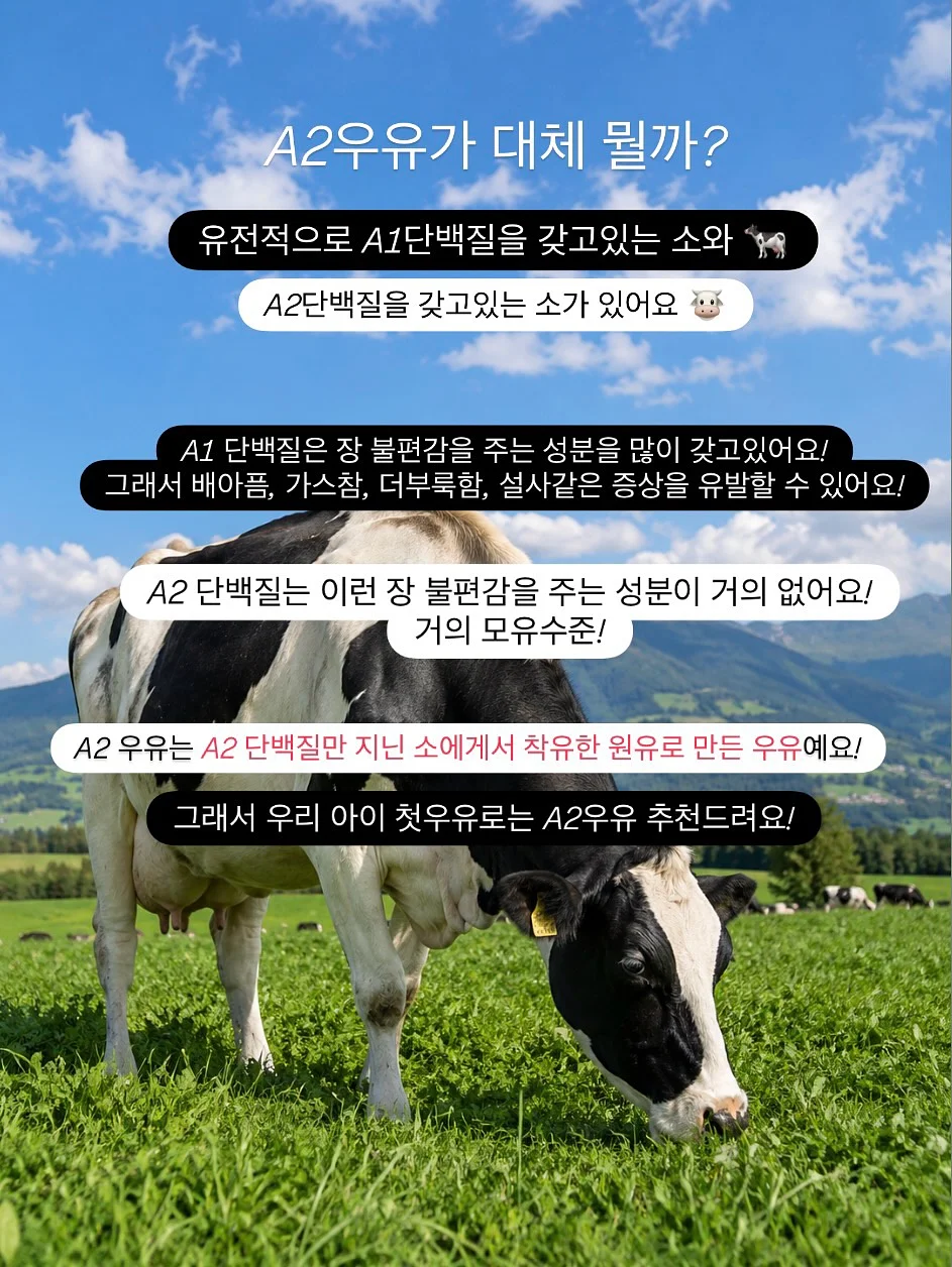 플라워 / 체크 패치 스커트 3