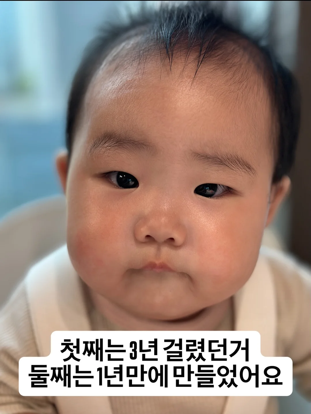 아몬드니트비니 9