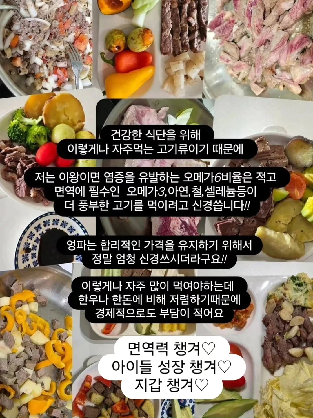 레떼드폴린 셸웨이브 롱 슬리브 탑 & 쇼츠 5
