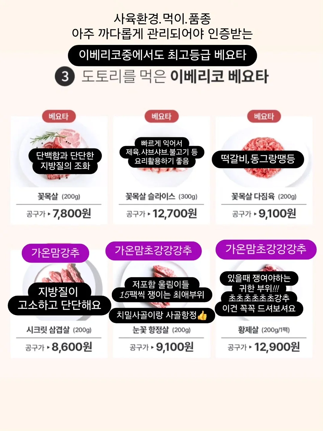 레떼드폴린 셸웨이브 롱 슬리브 탑 & 쇼츠 8