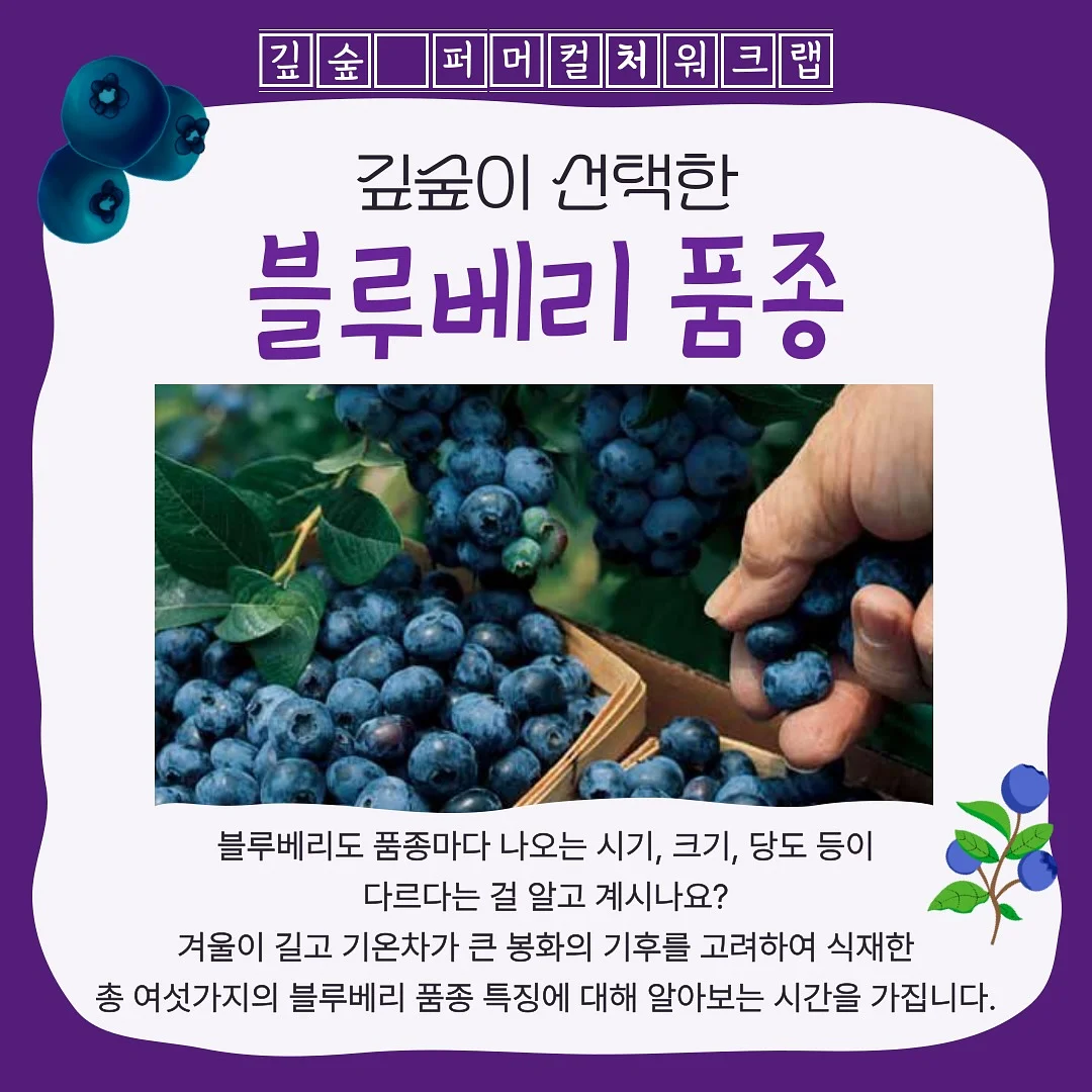 밤티말빵 4
