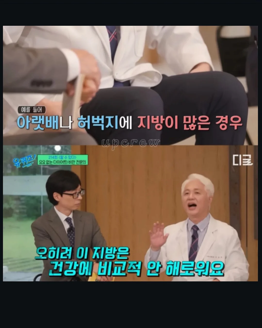 포포 멀티파우치 11