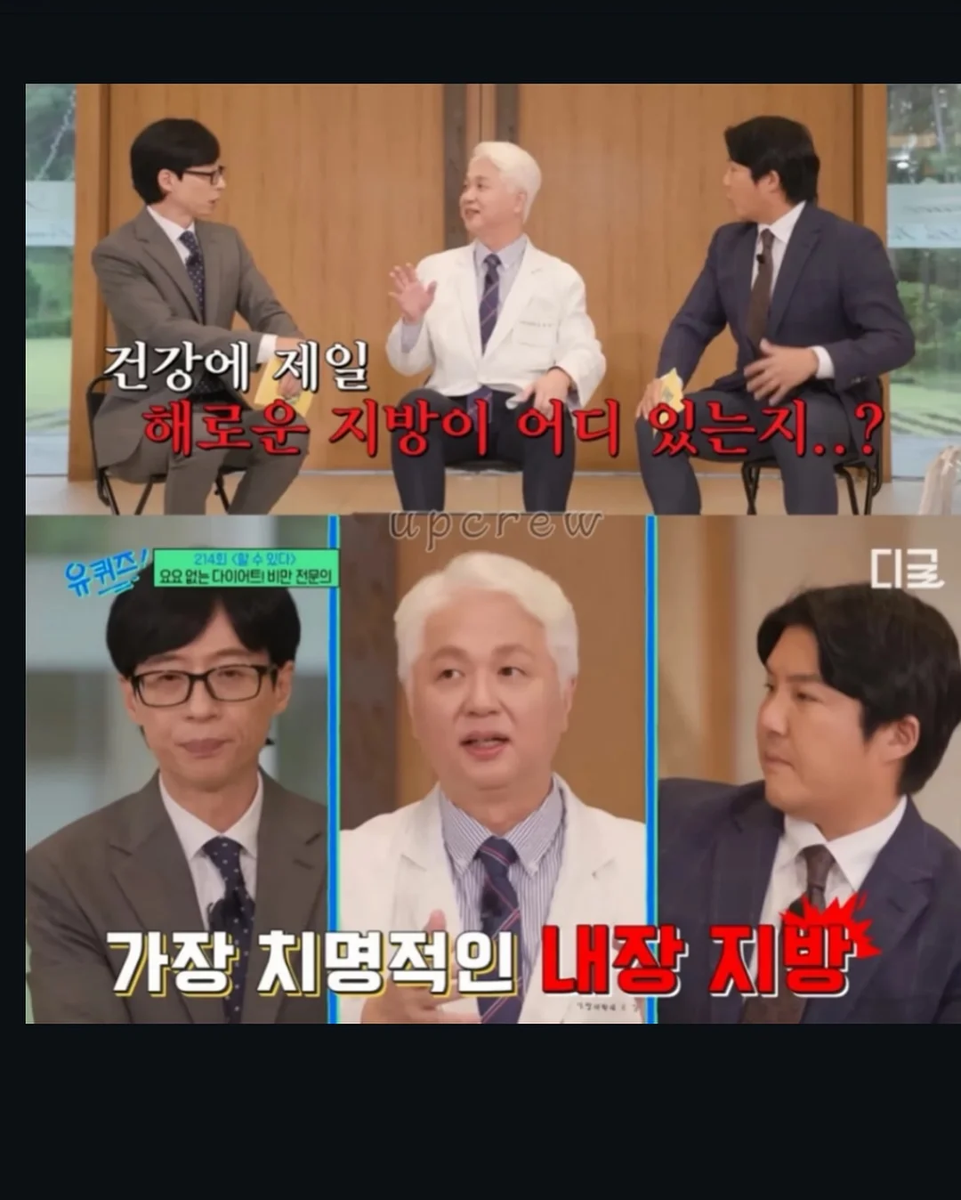 포포 멀티파우치 12