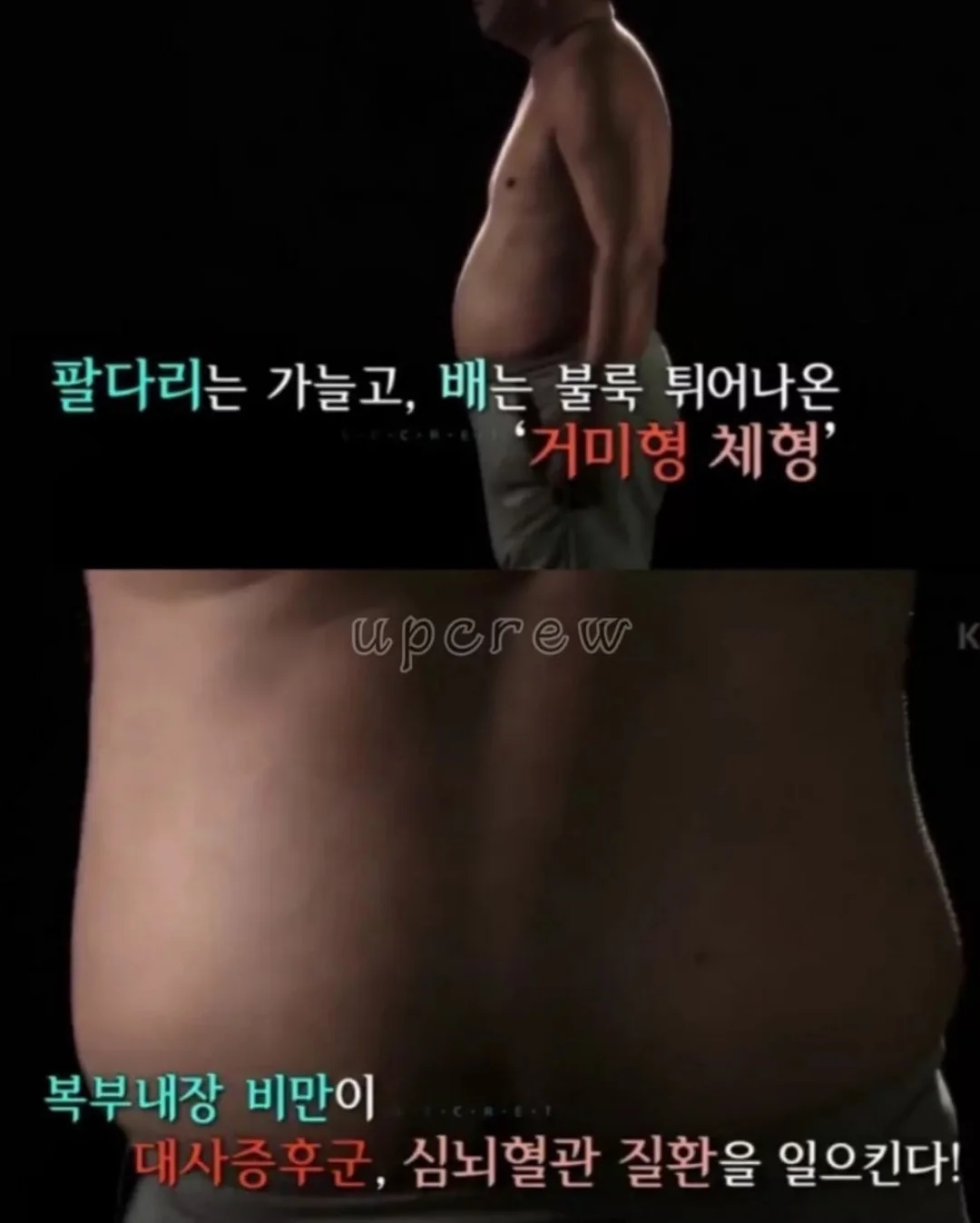 포포 멀티파우치 13