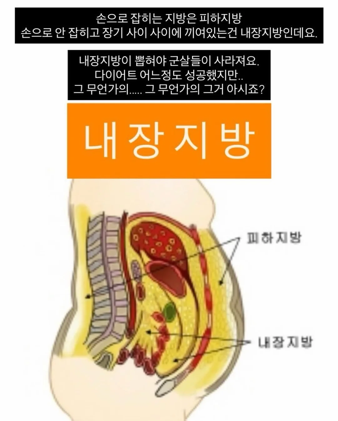 포포 멀티파우치 2