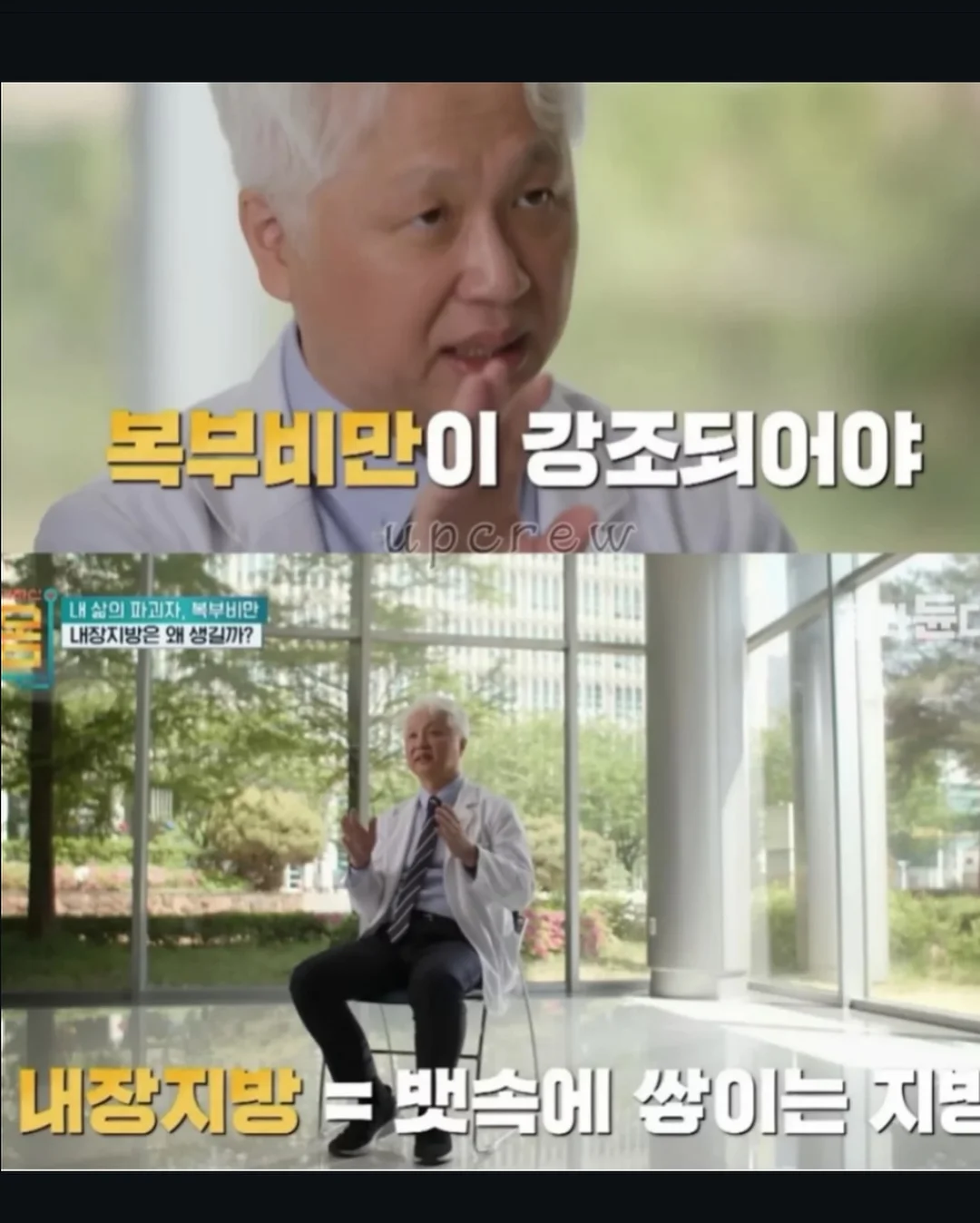 포포 멀티파우치 4