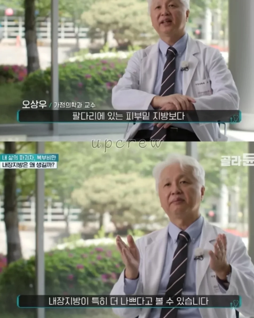 포포 멀티파우치 5