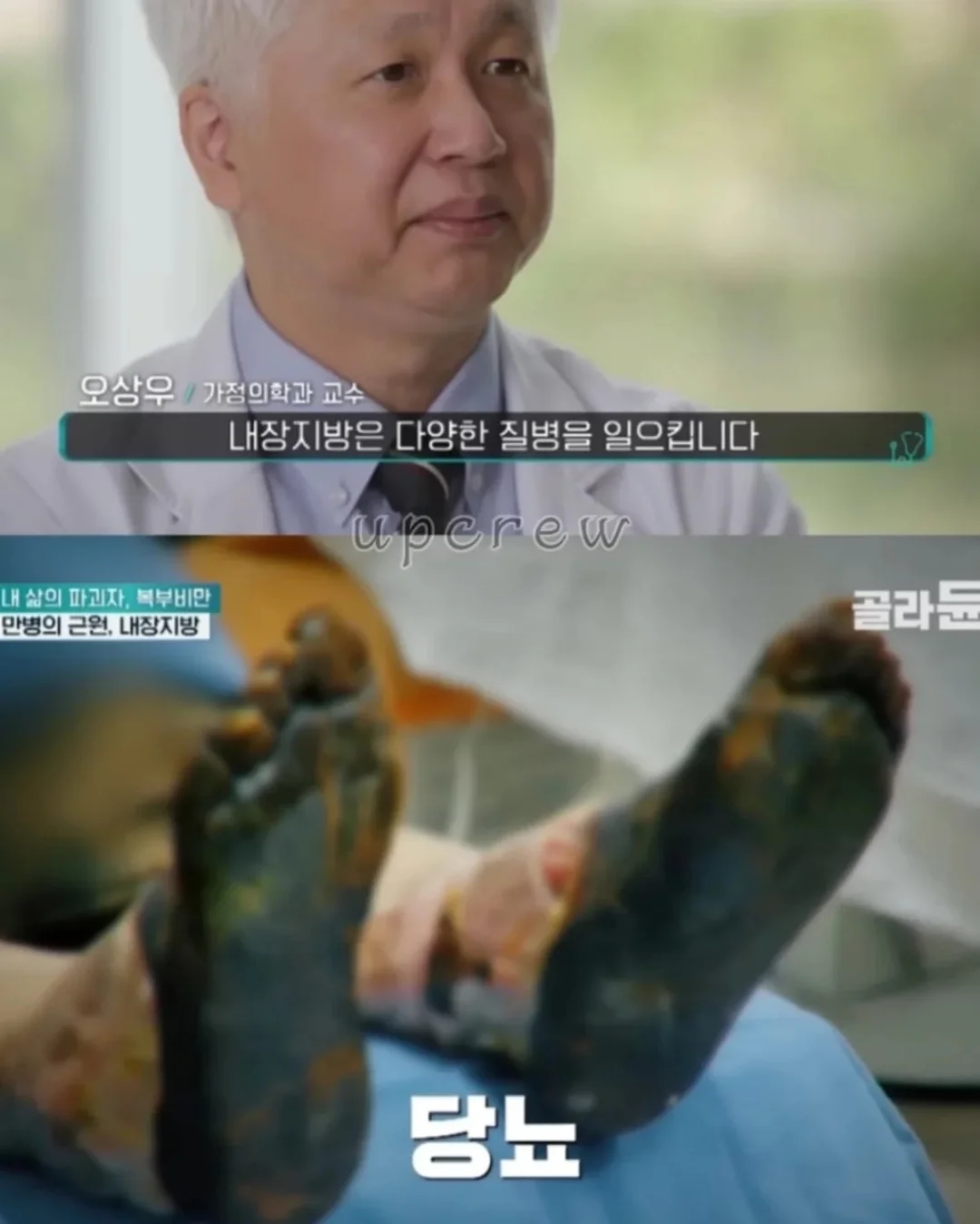포포 멀티파우치 6
