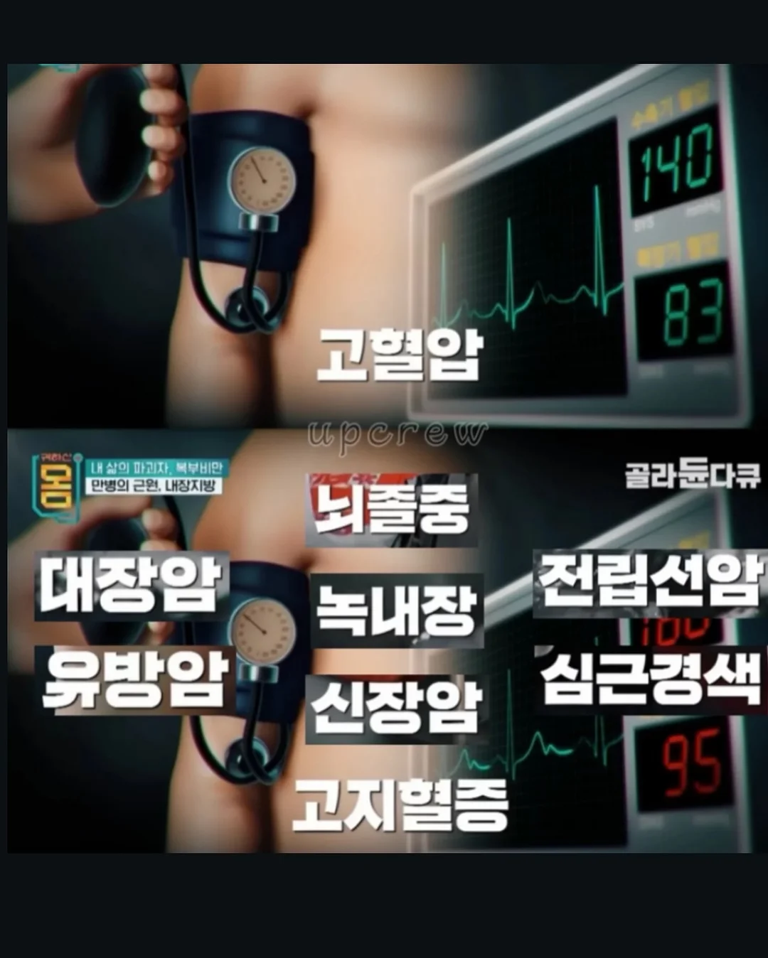 포포 멀티파우치 7