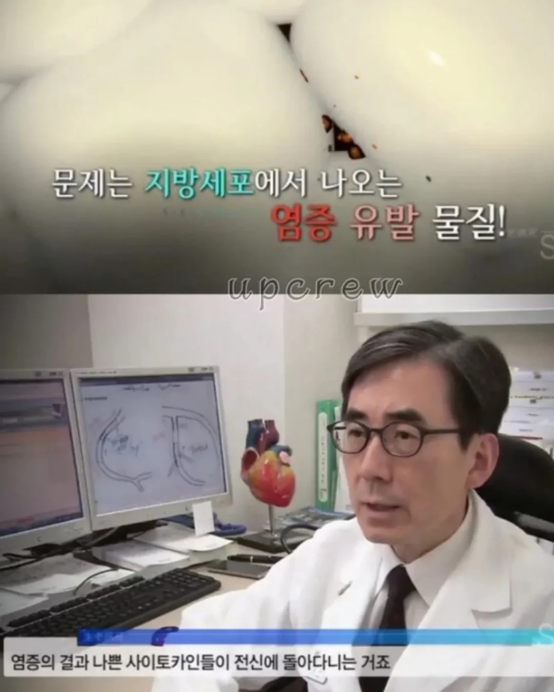 포포 멀티파우치 8