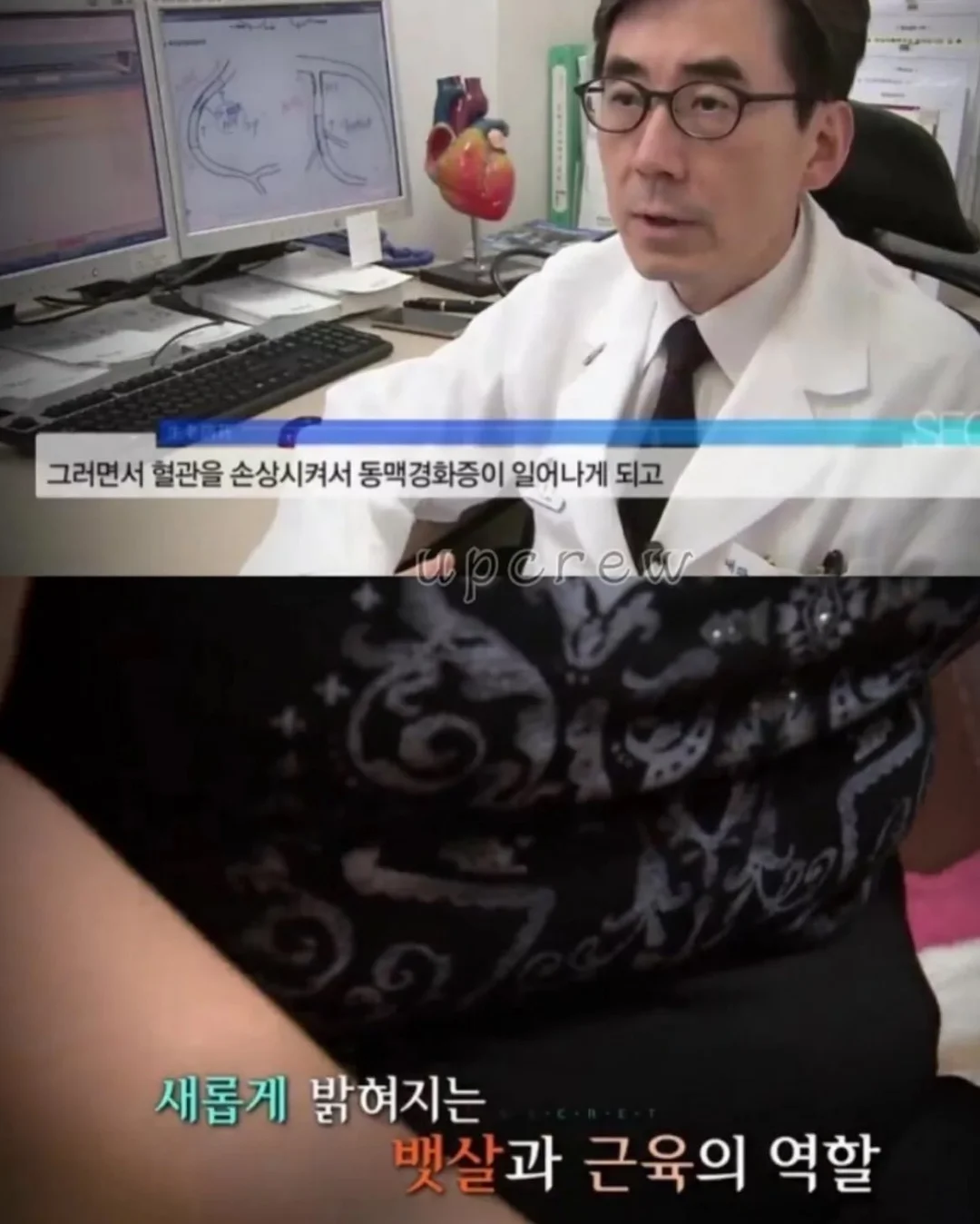 포포 멀티파우치 9