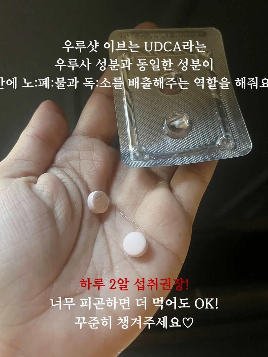 S 미니파우치 L 큰사이즈 2