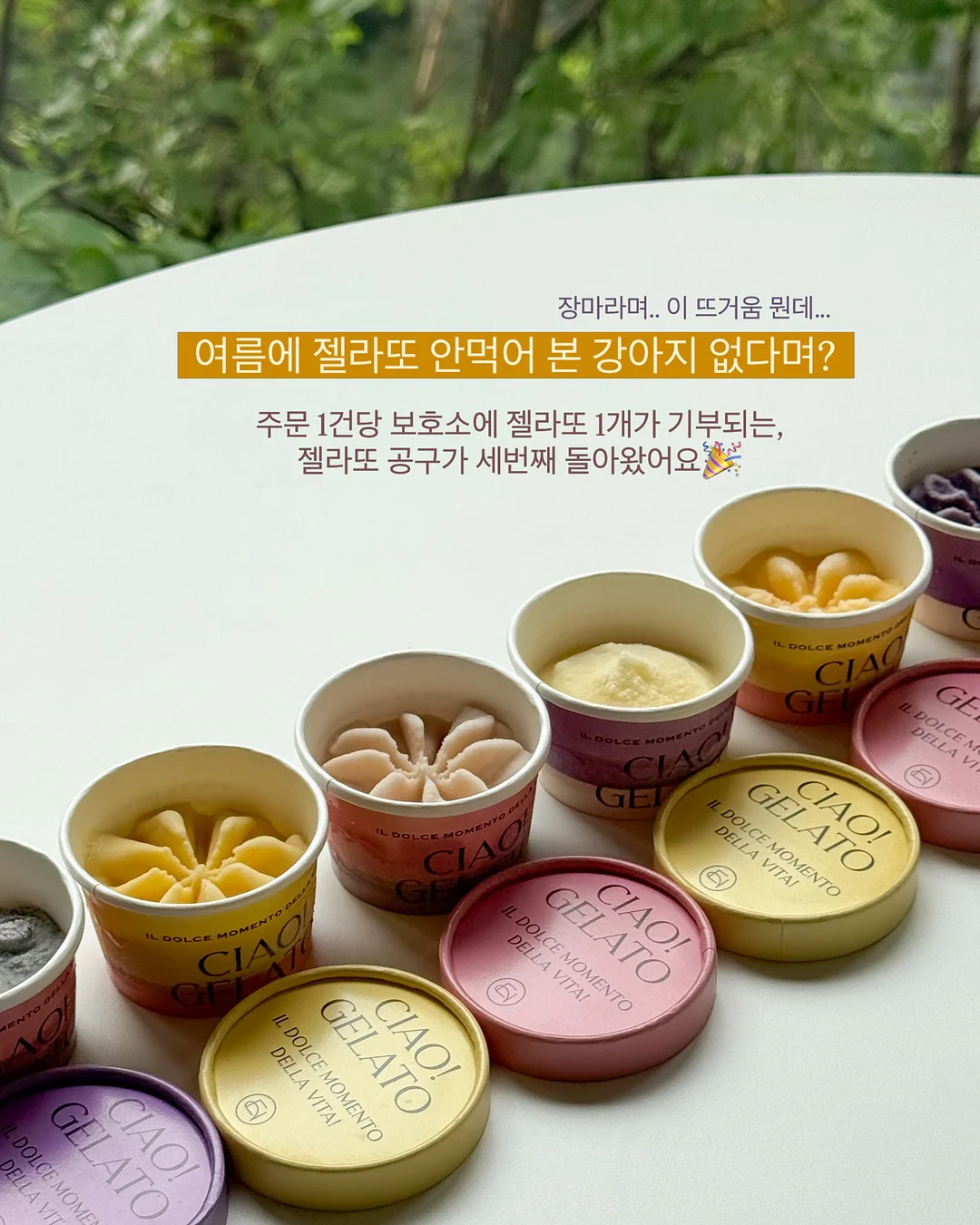 이더앤 듀이 시럽 틴트 기획세트 2