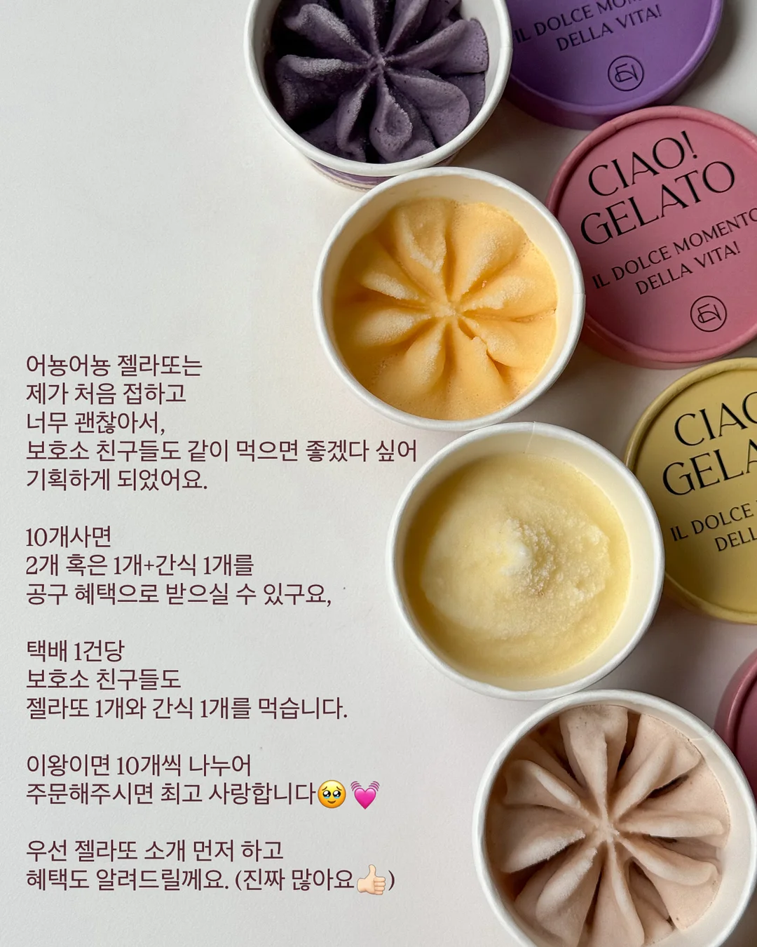 이더앤 듀이 시럽 틴트 기획세트 4