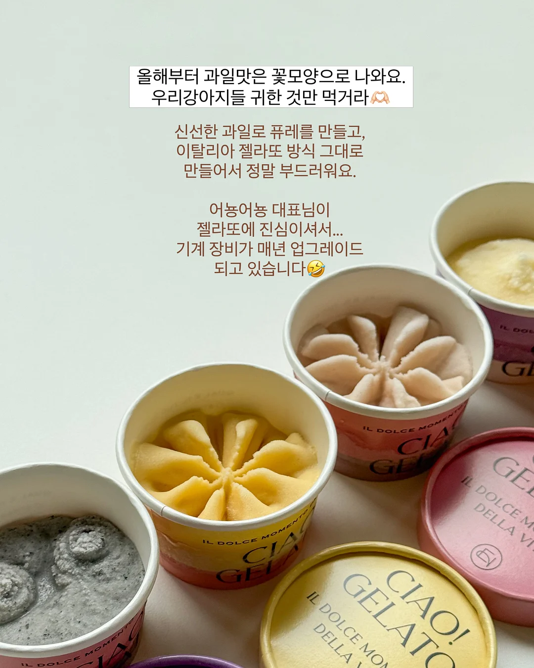 이더앤 듀이 시럽 틴트 기획세트 5