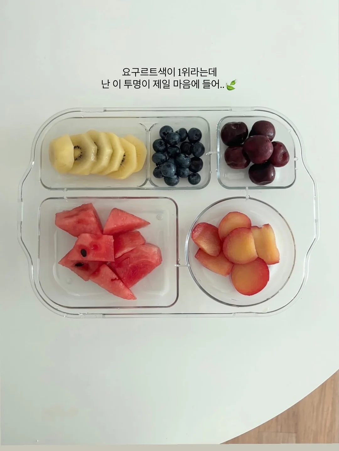 레이스 셔츠 4