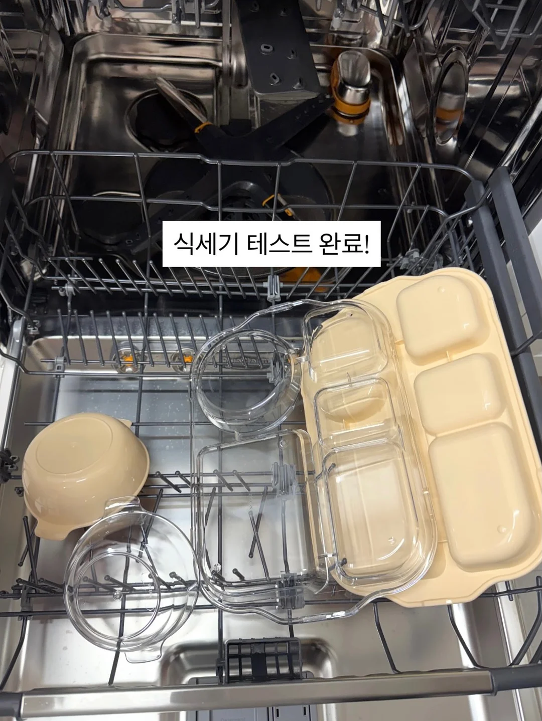 레이스 셔츠 8