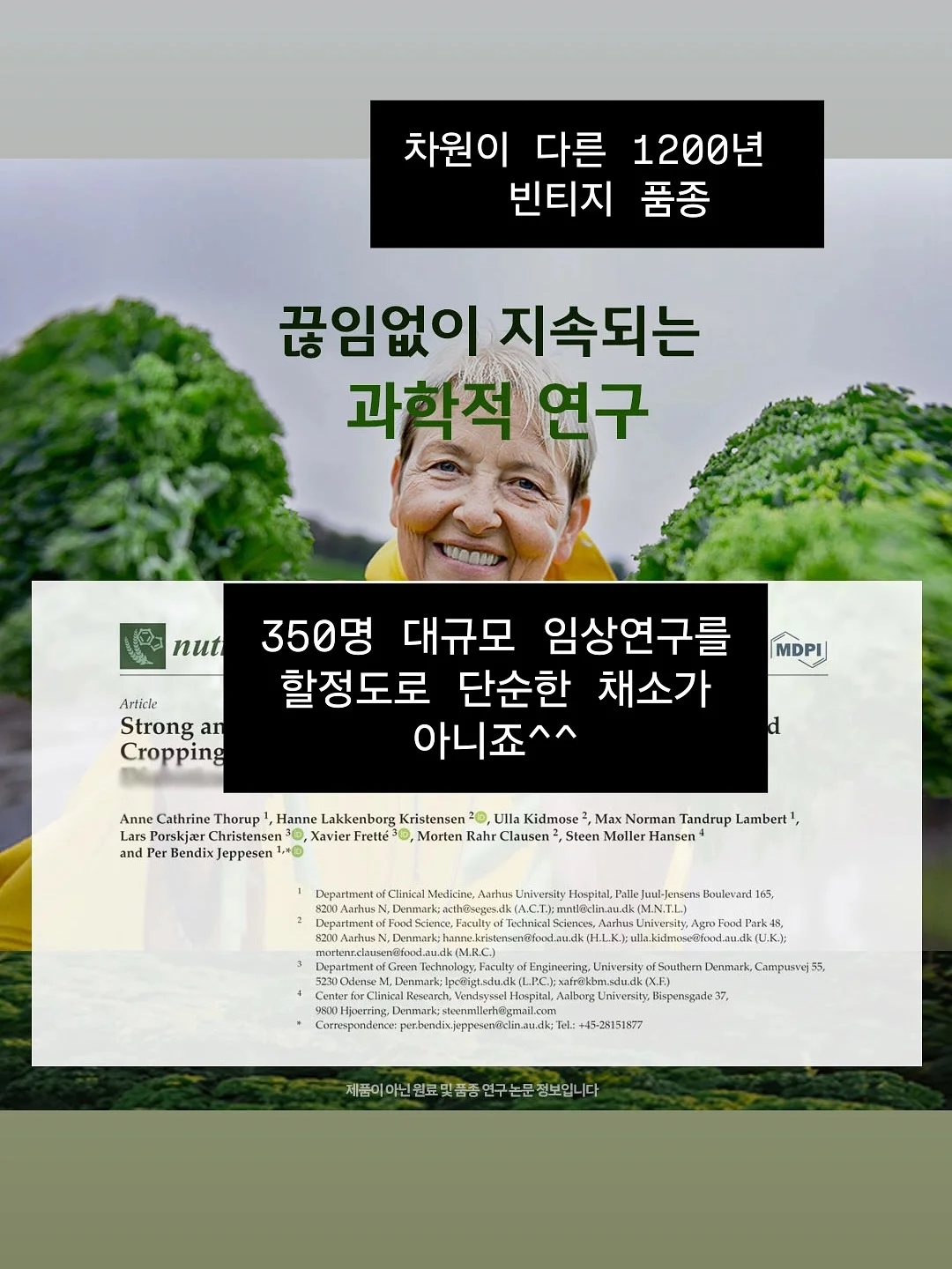 마사지기 12