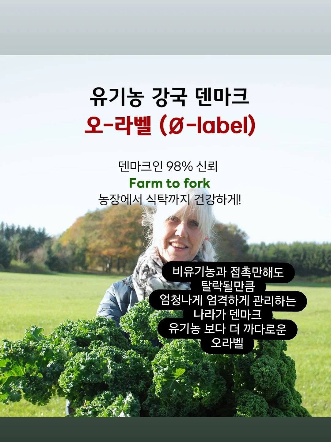 마사지기 13