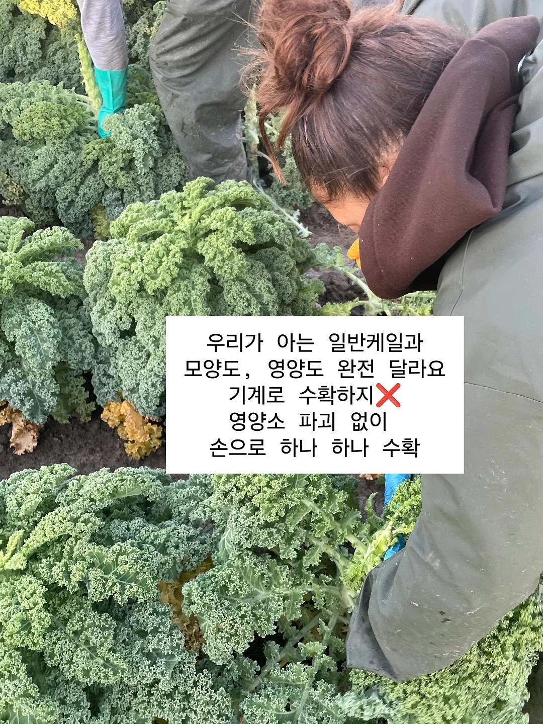 마사지기 10