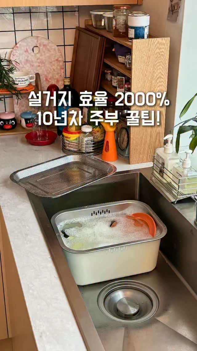 자라 롱 로브