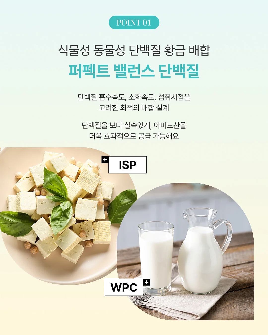 곶감샌드 11