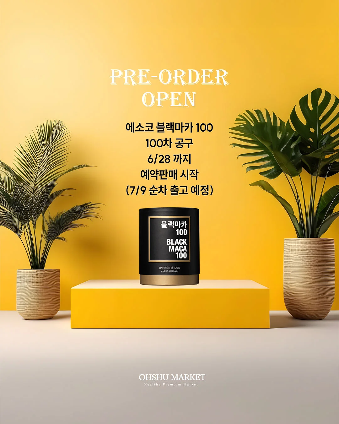 코브 웨딩케어 2