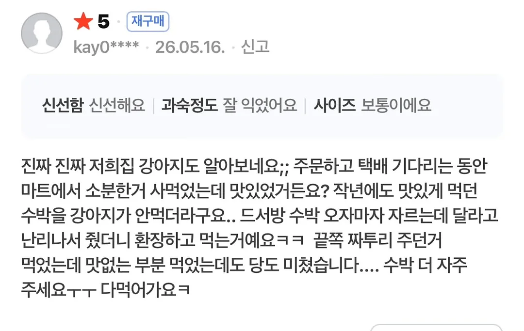 리듬세이빙 현금바인더 속지