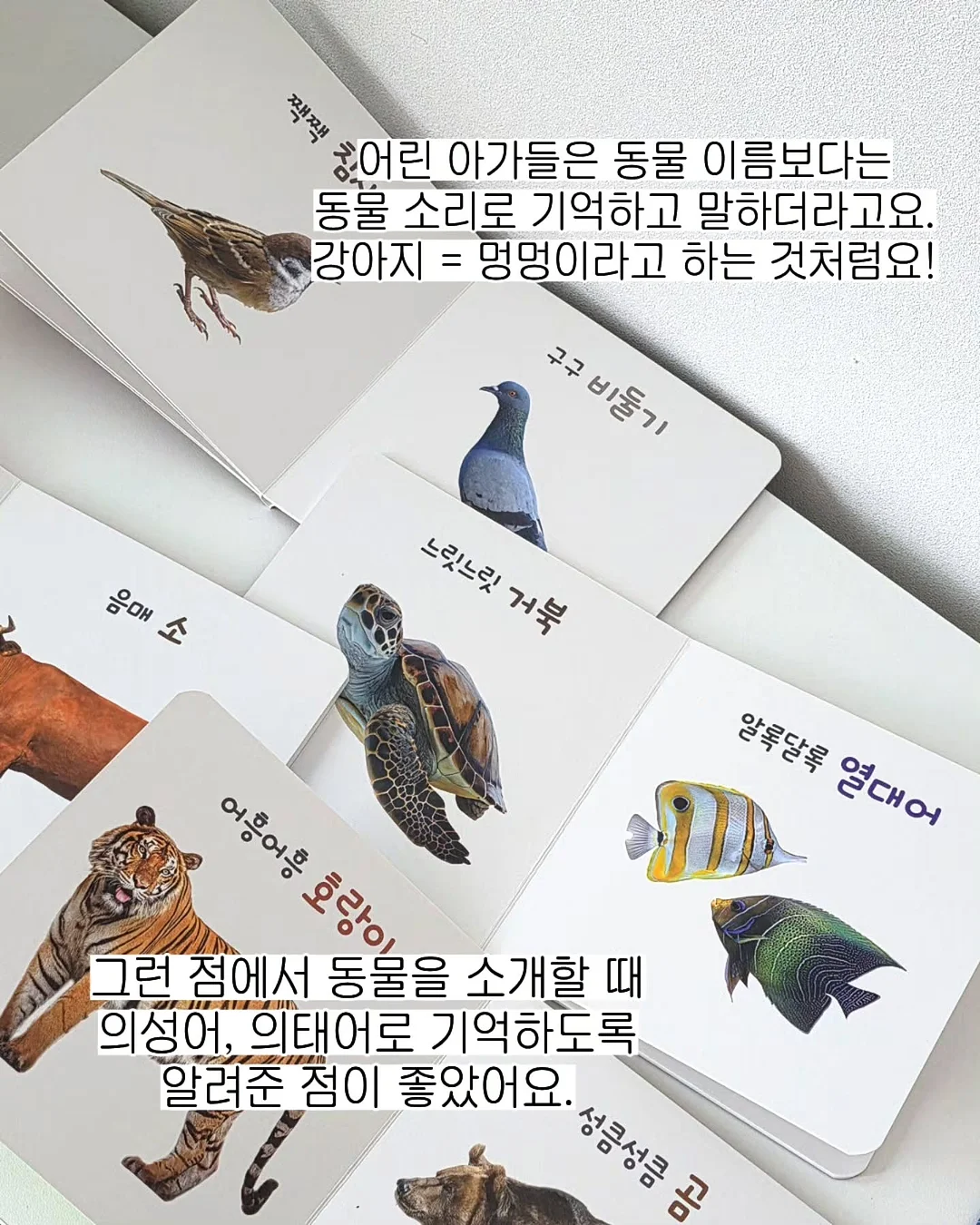 코즈코즈 썸머 에디션 냉감 패드 13