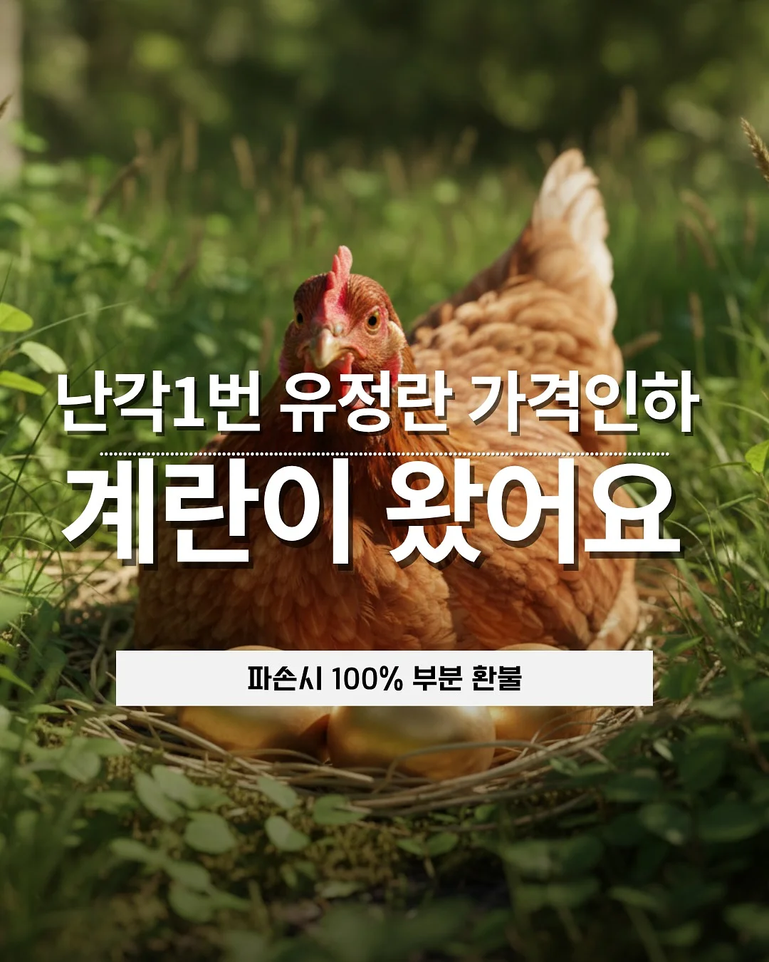 칸도럽 붓기팩 1