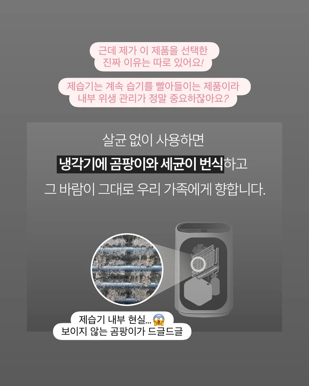 어린이날 구디백 4