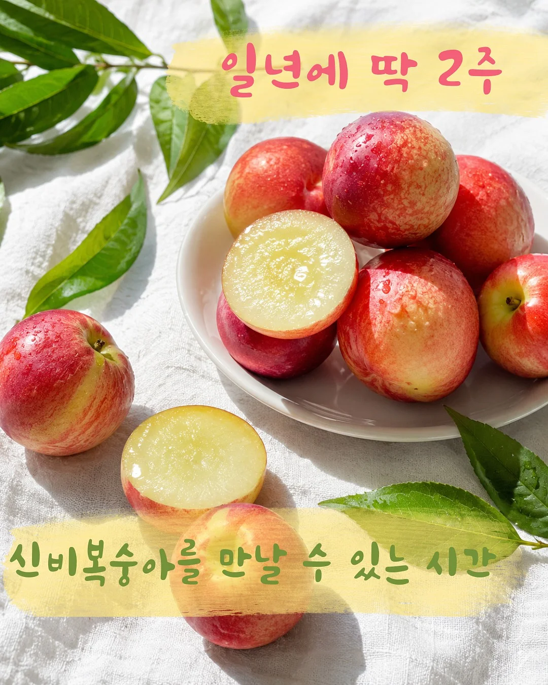 살안타템 2