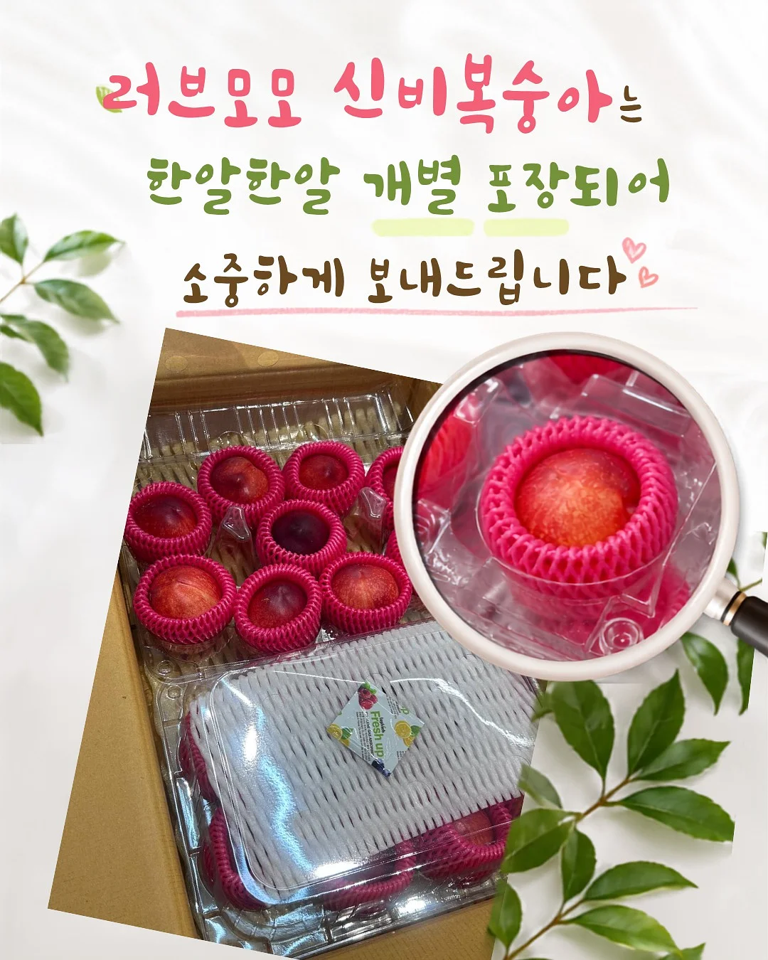 살안타템 4