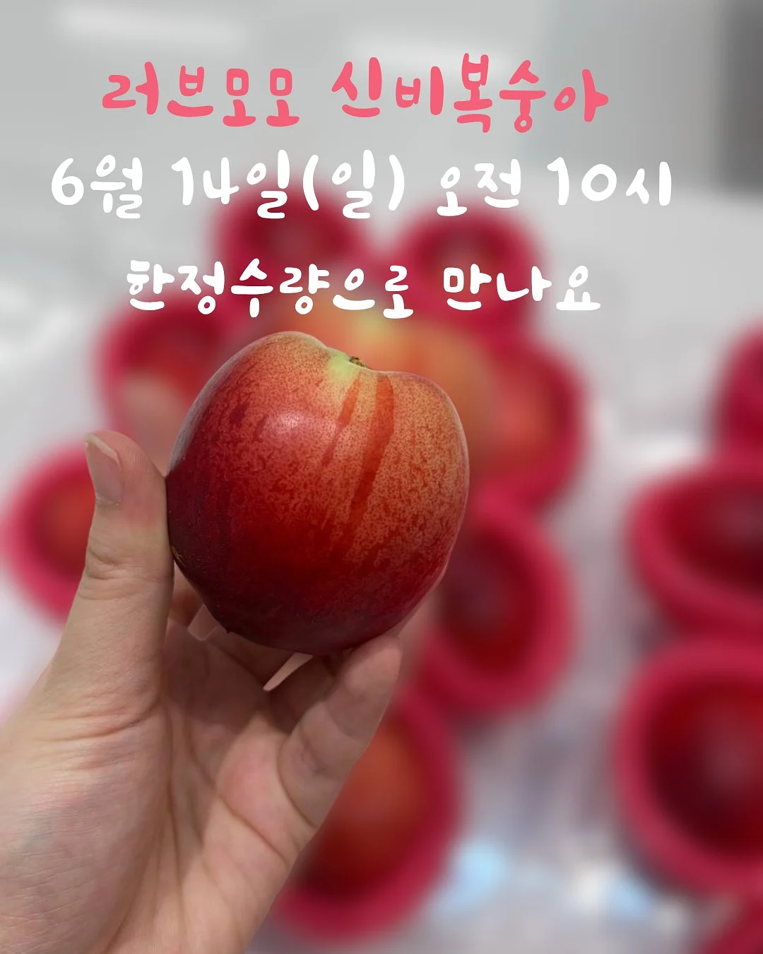 살안타템 6