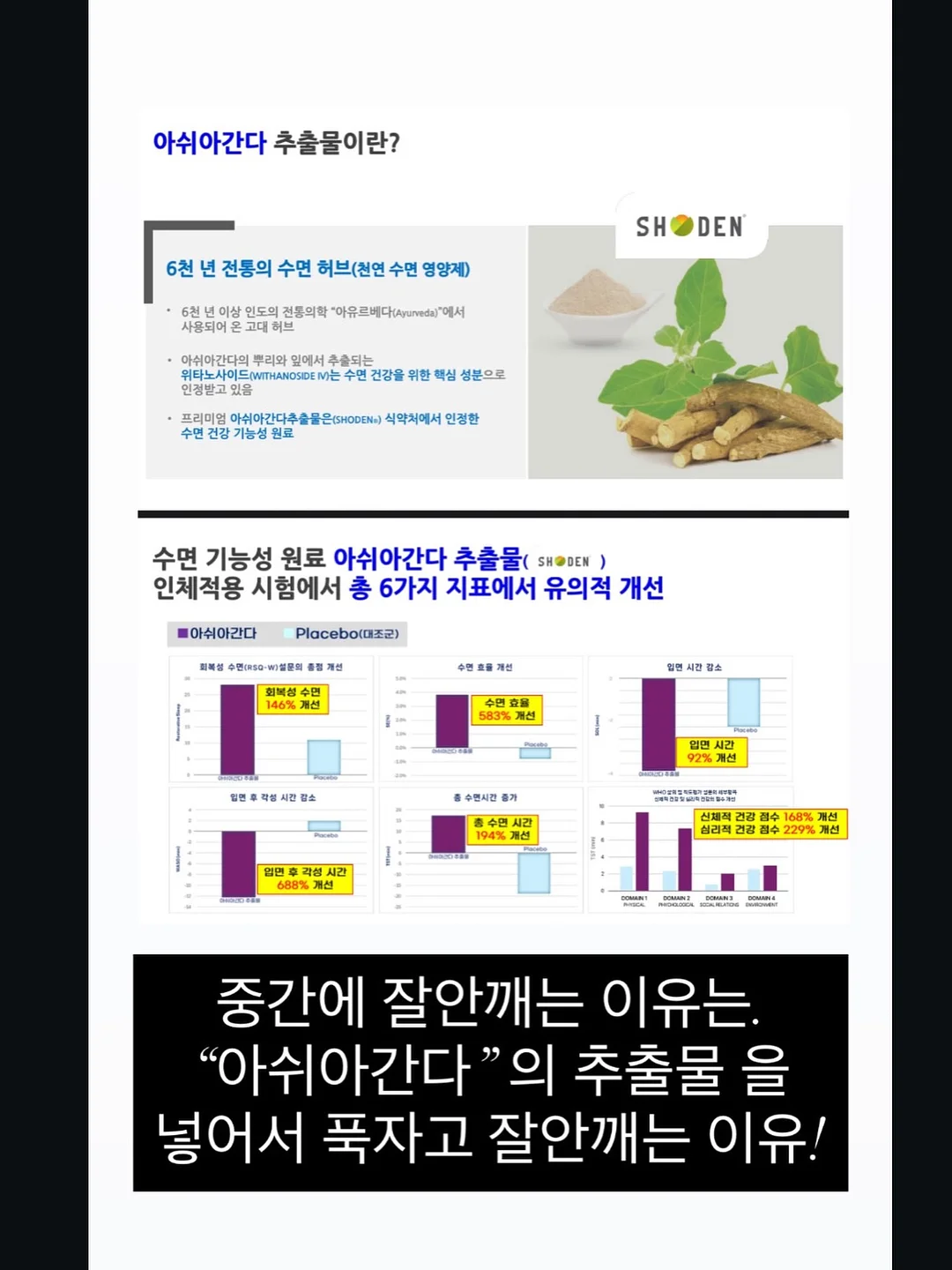 디마프 스팟젤 11