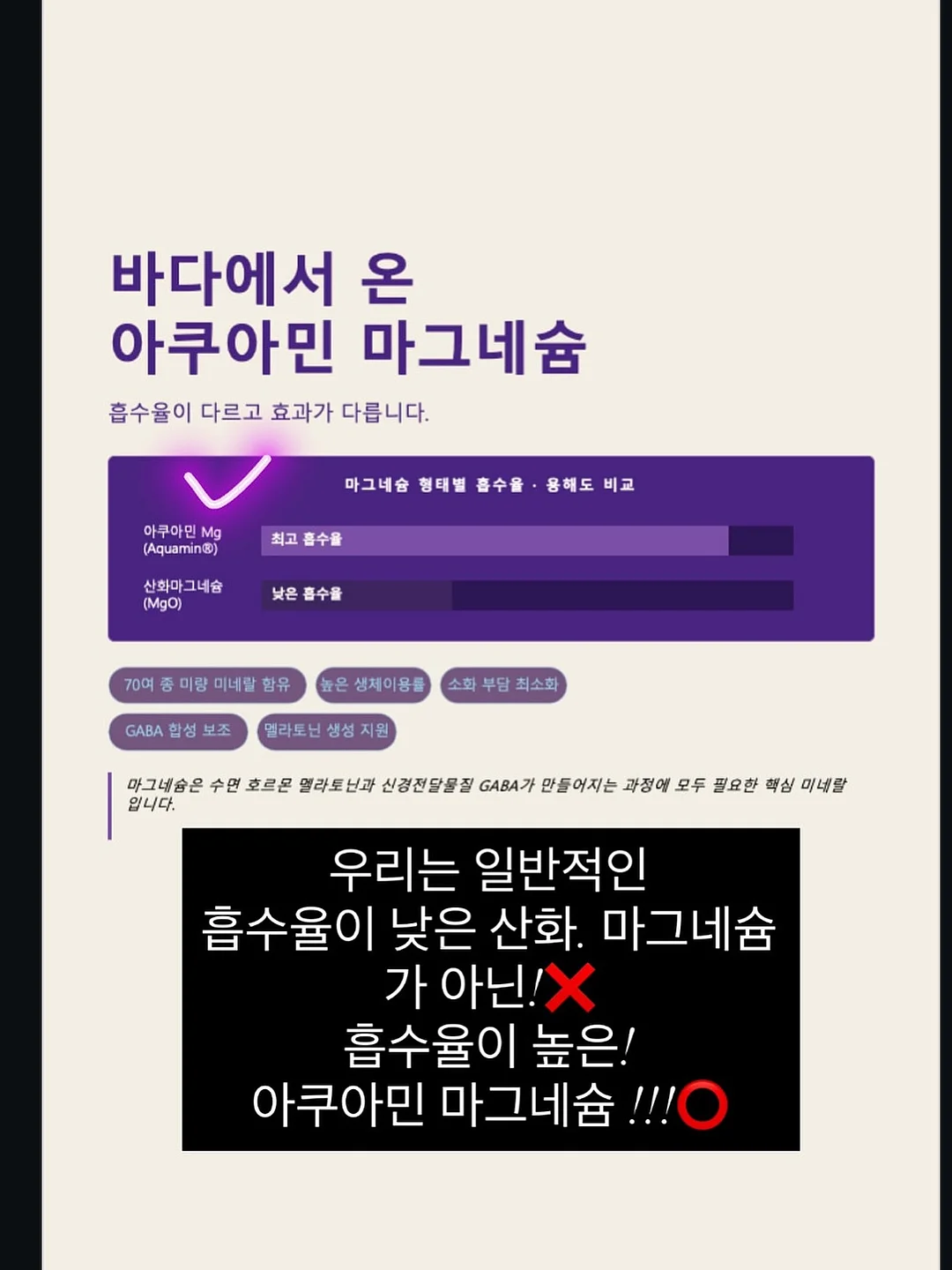 디마프 스팟젤 13